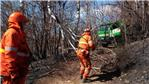 Incendi boschivi, la Regione revoca lo stato di massima pericolosità